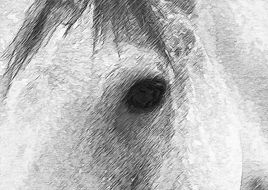 Eye of the horse digital pencil sketch.