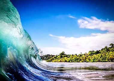 Tropical Wave