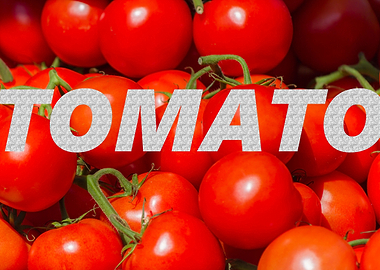 tomatoes background