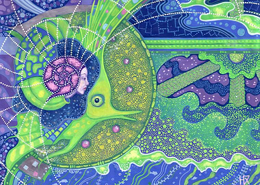 Dream of the full moon