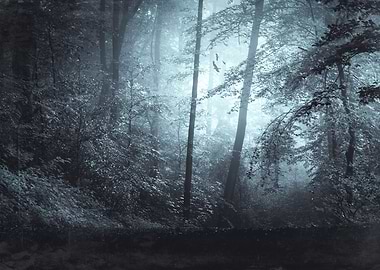 Summer forest in morning haze