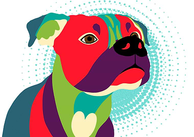 This colorful boxer in sha