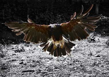 Putting the brakes on.