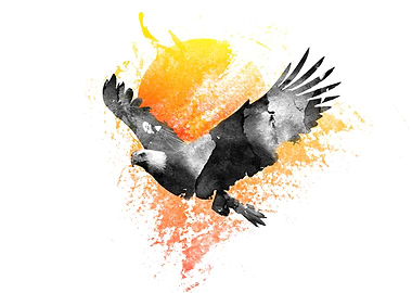 The Eagle that Touched the Sun