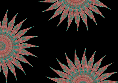 hydrangea in the garden