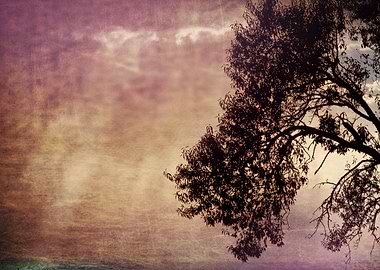 cloudy sky on the hilly