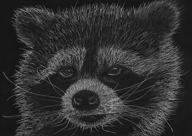 This is an art piece of a racoon titled 'Cheeky Little ...