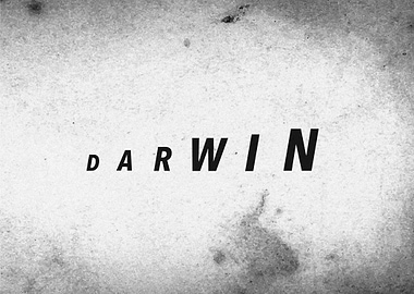 Darwin's Evolution (Typography Art)