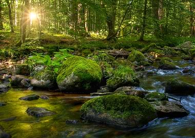 Elendstal atHarz Mountain