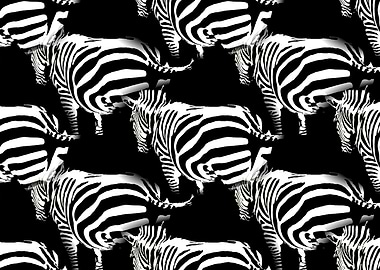 abstract zebra