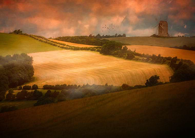 Dawn Pastoral With Windmill