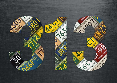 313 Detroit Michigan Area Code recycled Vintage License ...
