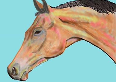 Horse