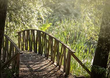 wooden bridge in warm sunlight