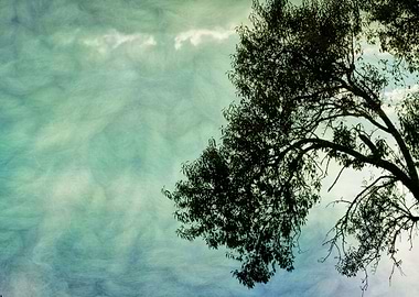 cloudy sky on the hilly