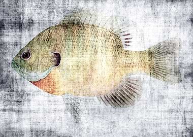 Grunge Fish