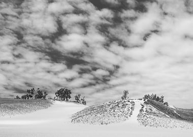 Artful black & white landscape photograph of beach sand ...