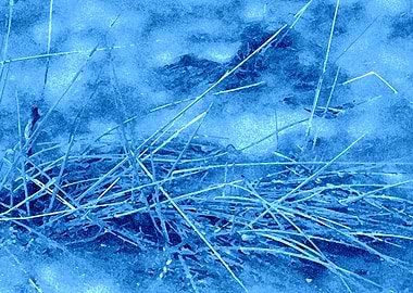 Distant icy mountain top.