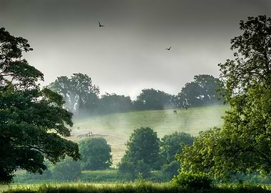 Pastoralissimo. The early morning mist rises under the ...