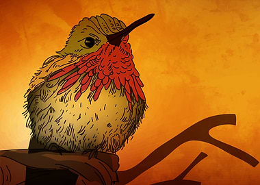 The Sunset Bird