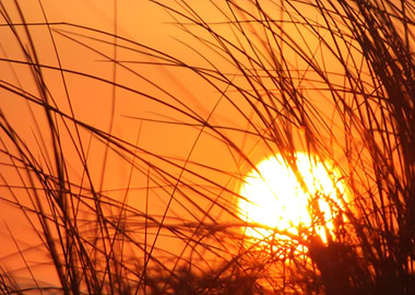 Sunset looking through the