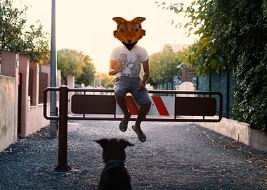 Mr fox and his dog