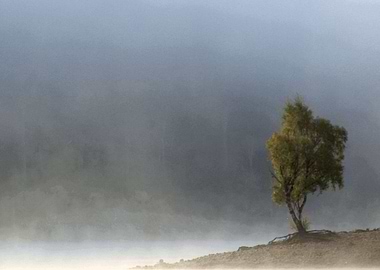 Misty times at the loch in Glen Affric