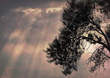 cloudy sky on the hilly