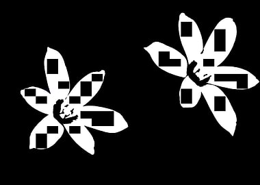 white flower in spring