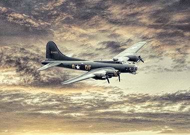 American Sally b vintage plane