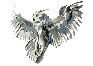 Royal owl. Bubo bubo