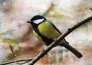 Painted Great Tit is a mixed media art and photography ...