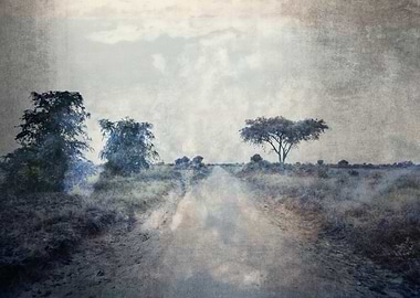 road in the African savanna