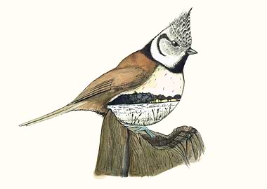 This is a mix between a bird and à landscape. hand draw ...