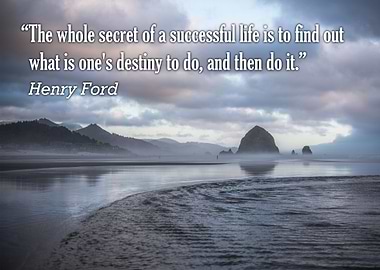 'The whole secret of a successful life is to find out w ...