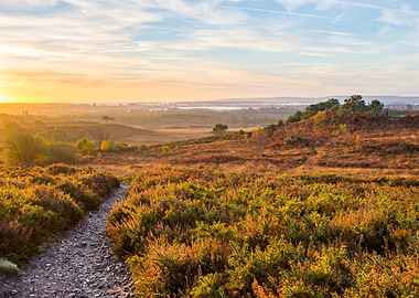 A bright, chilly, autumnal sun rise over looking Poole ...