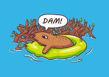 Dam!