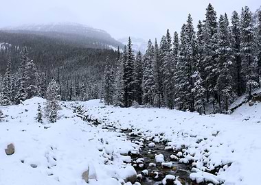 A babbling brook under a heavy blanket of snow