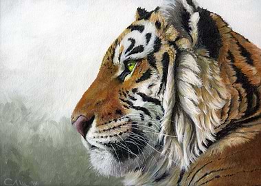 acrylic painting on canvas Tiger's profile by Svetlana ...