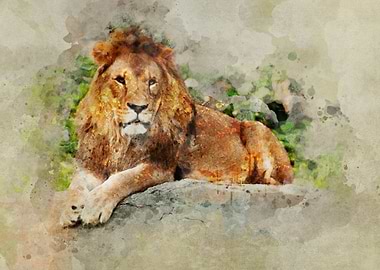 Lion male laying on the rocks. Digital artwork