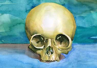 skull watercolour painting