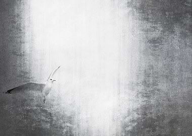 Creative, monochromatic seagull flying.