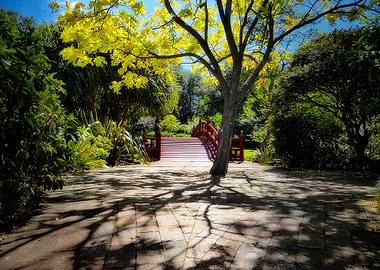 Walking thru the Shadows to the Bridge. Photographed ...