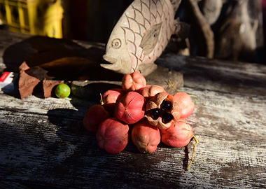 ackee, national fruit of Jamaica