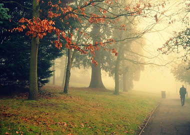 foggy day at alexandra palace in london
