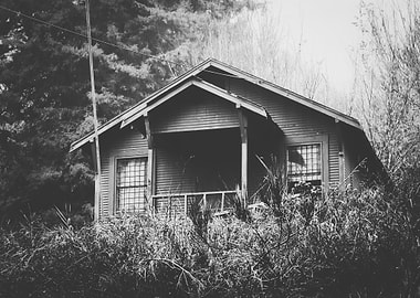 wooden house in the forest with rain in black and white ...