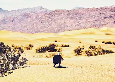 At Death Valley national park, USA in summer