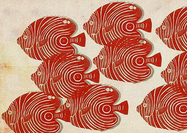 Shoal of Red Fish