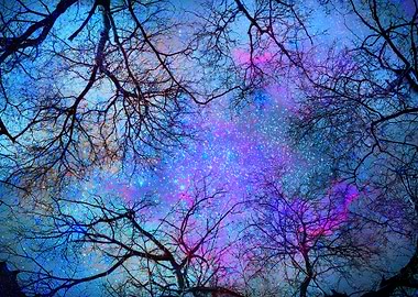 Sky dreams. Serial. Blue Forest dfreams