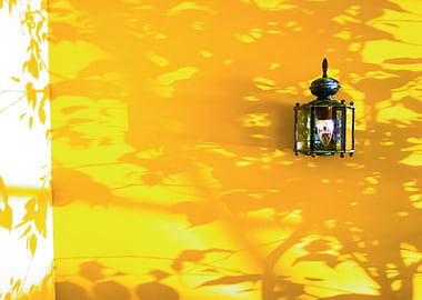 indoor lighting with shadow of tree and strong sunlight ...